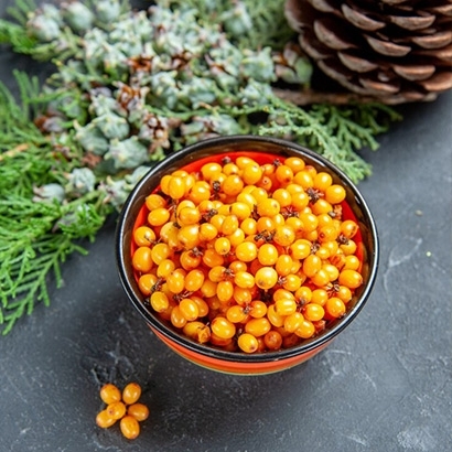 sea-buckthorn