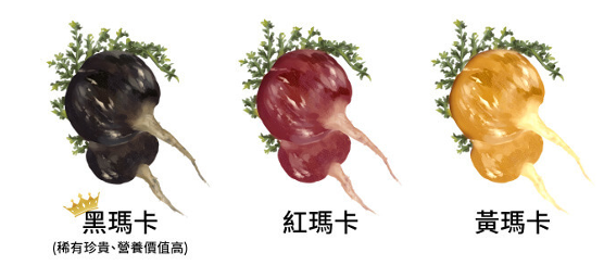 瑪卡種類