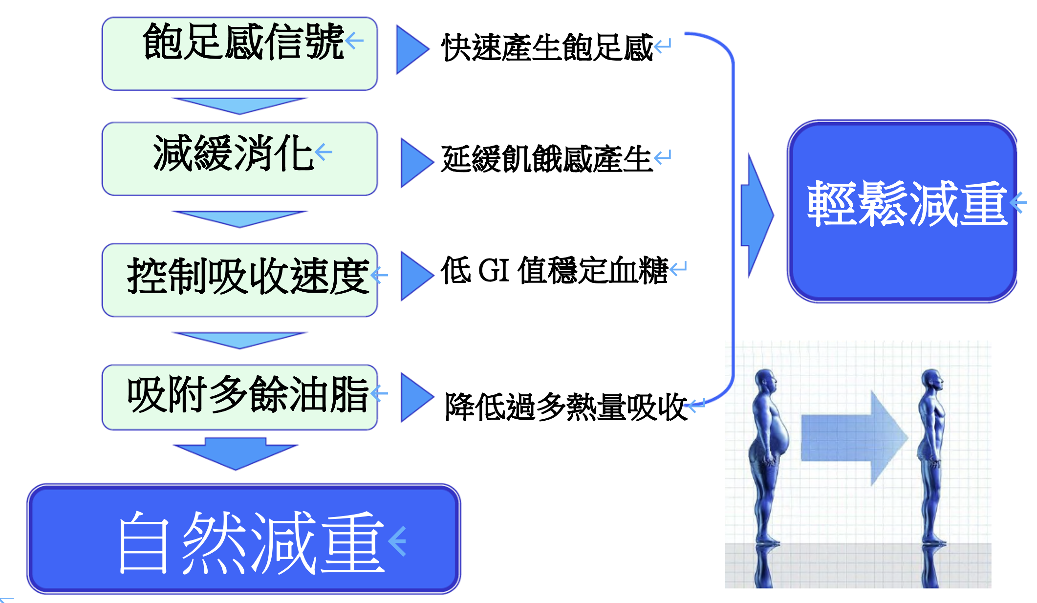 魔芋成效圖表