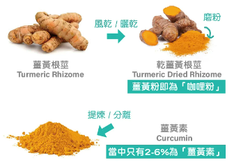 薑黃粉與薑黃素提煉過程